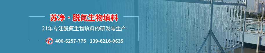 生物填料廠家.png 組 49.png