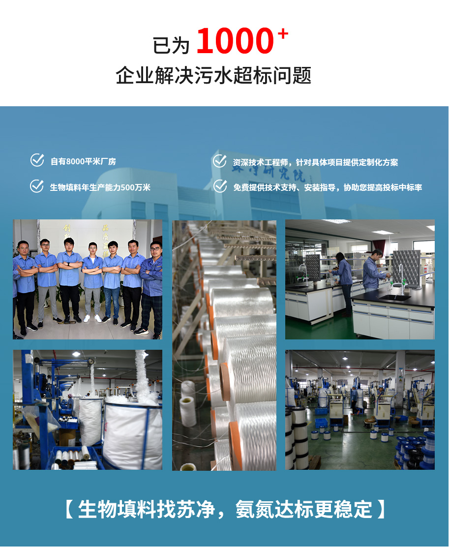 蘇淨優勢.png