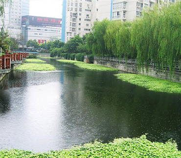 自然水體修複